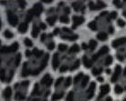 Schal - großes Leopardenmuster