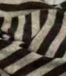 Mini - Dreieckstuch-Zebra